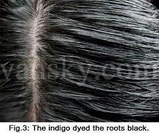 220517153055_Hair-Dyed with indigo-s.jpg